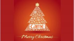 merry xmas 2016 from came